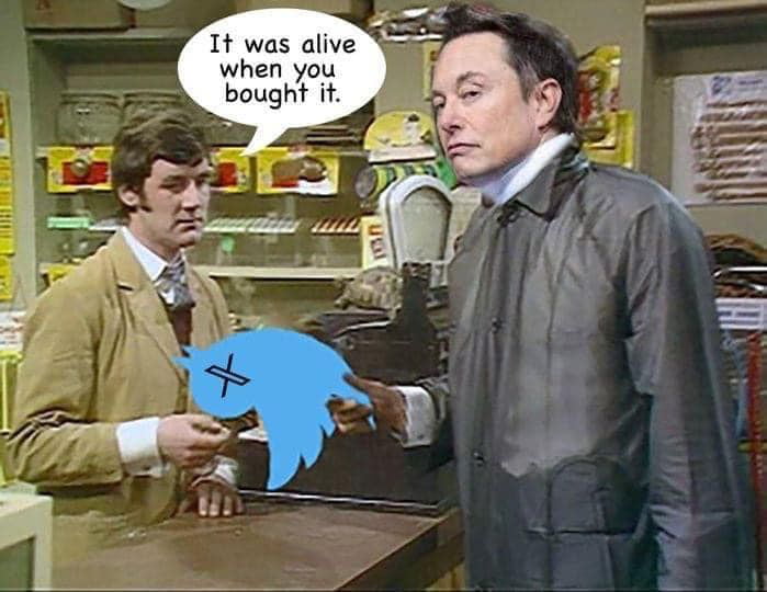 1t was alive when you bought if