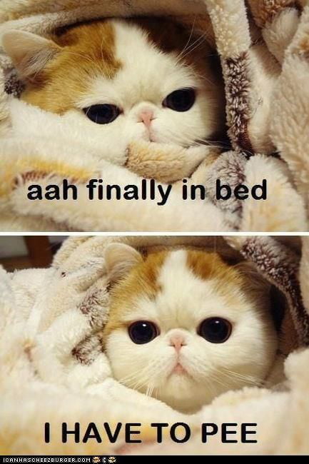 aah finally in bed I HAVE TO PEE