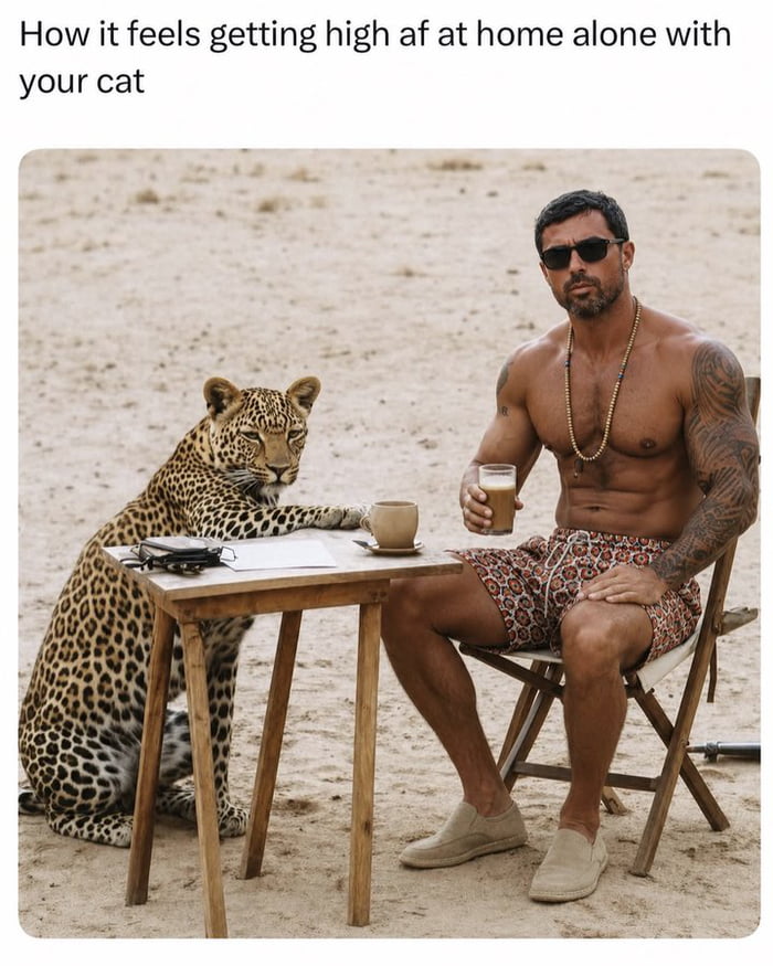 How it feels getting high af at home alone with your cat