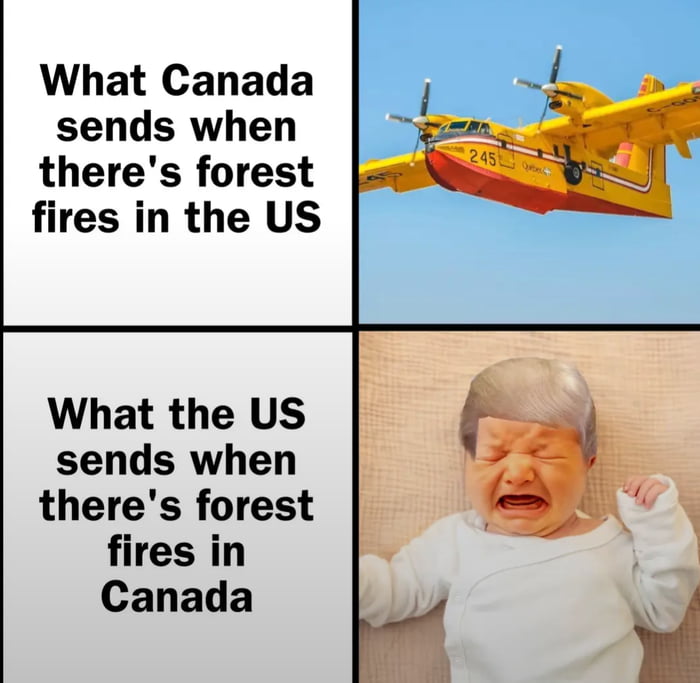 What Canada sends when there's forest fires in the US. What the US sends when there's forest fires in Canada.