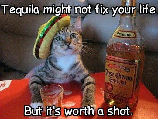 Tequila might not fix your life But it's worth a shot.
