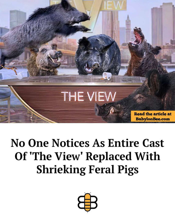 THE VIEW No One Notices As Entire Cast Of 'The View' Replaced With Shrieking Feral Pigs Read the article at BabylonBee.com