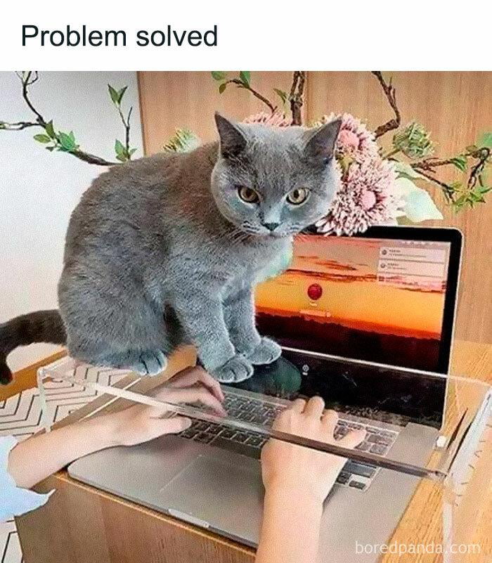 Problem solved