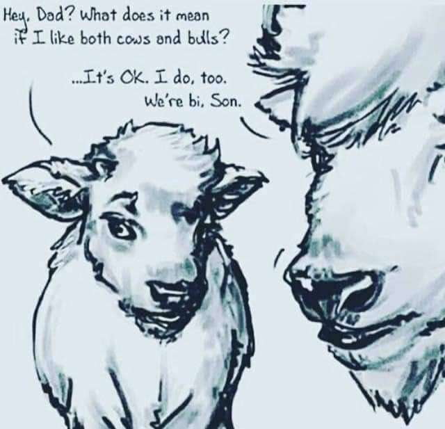 Ie Dod whot does it mean iF I like both cows and bdls Its OK I do too