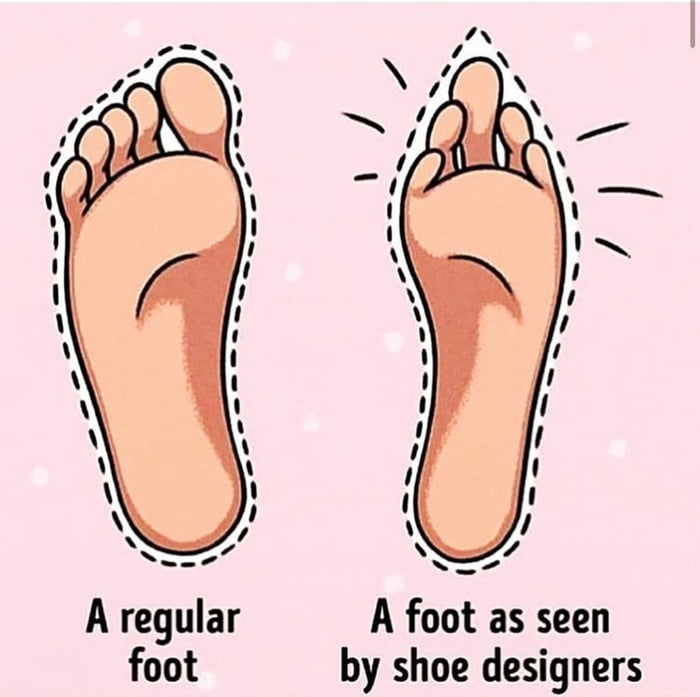 A foot as seen by shoe designers A regular foot