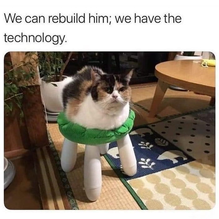 We can rebuild him we have the technology