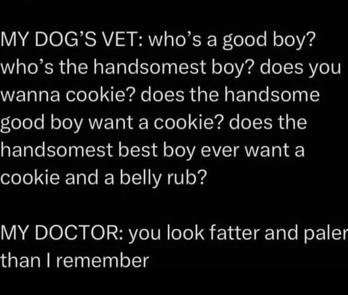 MY DOGS VET whos a good boy WTOXR IR ETale EloTaa IS dl oTo Vil e ISRV 1 wanna cookie does the handsome olole NoToANE T N olole NIk Ao ol LR T 1 handsomest best boy ever want a cookie and a belly rub Vhvelea o SV lele S F laccIg Tole NoF1 T than remember