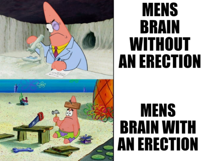 MENS BRAIN wiTHoUT AN ERECTION MENS BRAIN WITH AN ERECTION