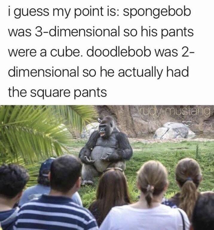 i guess my point is spongebob was 3 dimensional so his pants were a cube doodlebob was 2 dimensional so he actually had the square pants A 1
