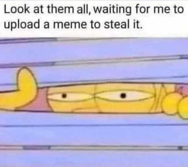 Look at them all waiting for me to upload a meme to steal it