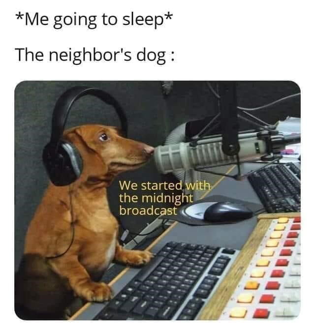 Me going to sleep The neighbors dog We started V the midnigh MRECIERRT