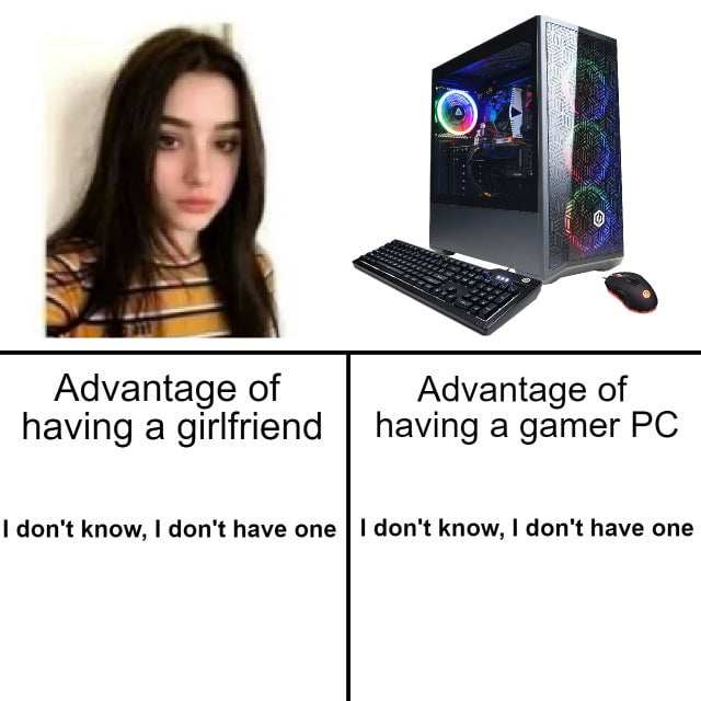 Advantage of Advantage of having a girlfriend having a gamer PC dont know dont have one dont know dont have one