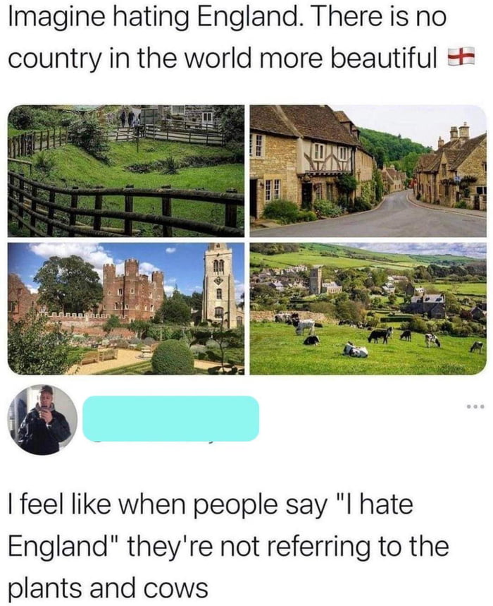 Imagine hating England There is no country in the world more beautiful feel like when people say l hate England theyre not referring to the plants and cows