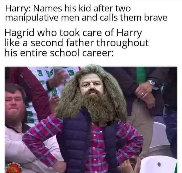 Harry Names his kid after two manipulative men and calls them brave Hagrid who took care of Harry like a second father throughout his entire school career