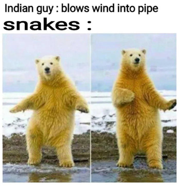 Indian guy blows wind into pipe snakes