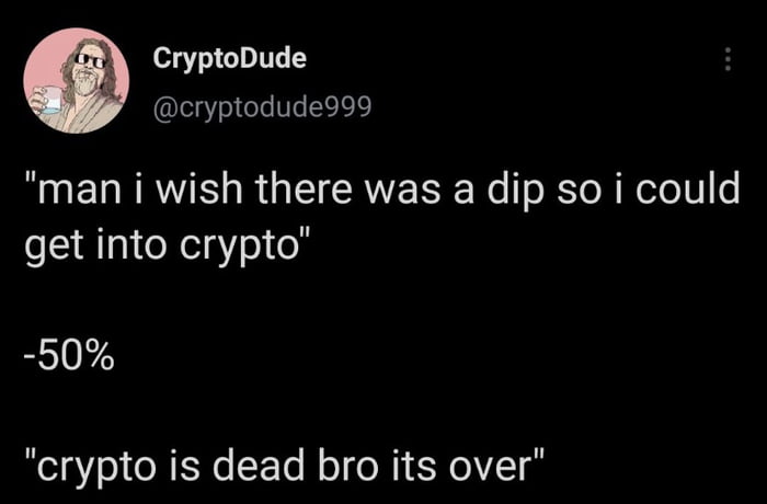 CryptoDude cryptodude999 man i wish there was a dip so i could get into crypto 50 crypto is dead bro its over