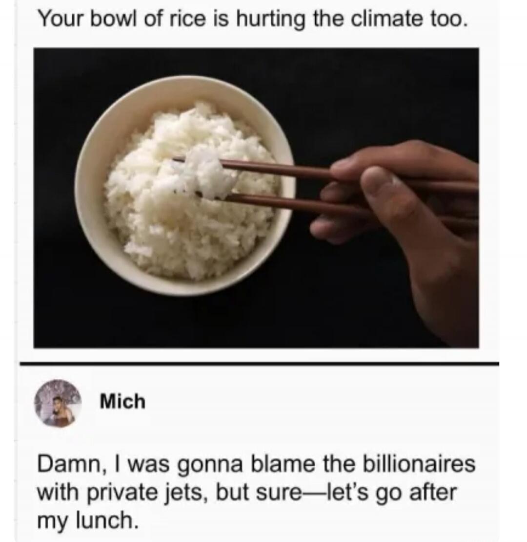 Your bowl of rice is hurting the climate too. Mich. Damn, I was gonna blame the billionaires with private jets, but sure—let's go after my lunch.