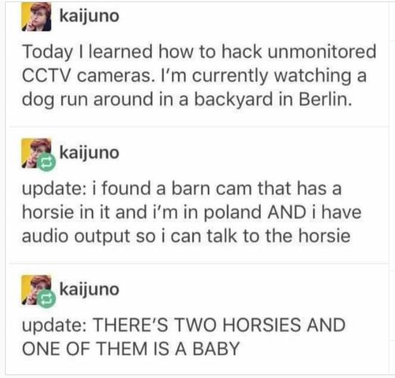 kaijuno Today learned how to hack unmonitored CCTV cameras Im currently watching a dog run around in a backyard in Berlin kaijuno update i found a barn cam that has a horsie in it and im in poland AND i have audio output so i can talk to the horsie kaijuno update THERES TWO HORSIES AND ONE OF THEM IS A BABY