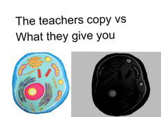 The teachers copy Vs What they give you