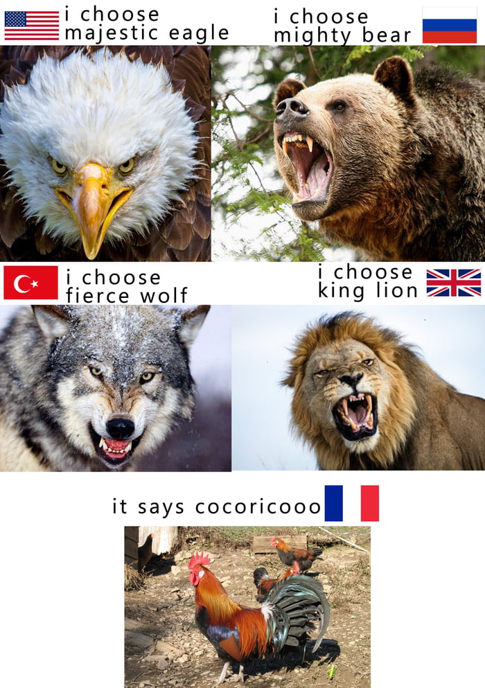 i choose majestic eagle i choose swp king lion S