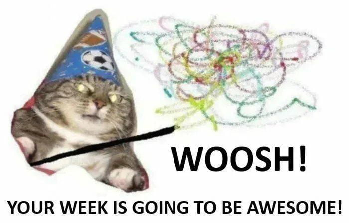 e G WOOSH YOUR WEEK IS GOING TO BE AWESOME