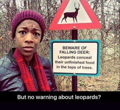 BEWARE OF FALLING DEER Leopards conceal their unfinished food in the tops of trees VL CAVETGTTe e ToTelT 1ol o T Y