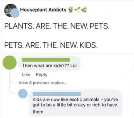 Hovuphm Addicts 7 PLANTS ARE THE NEW PETS PETS ARE THE NEW KIDS Then wnat are kids Lol Like Reply View 8 previous replies Kids are now like exotic animals youve got to be a little bit crazy or rich to have them