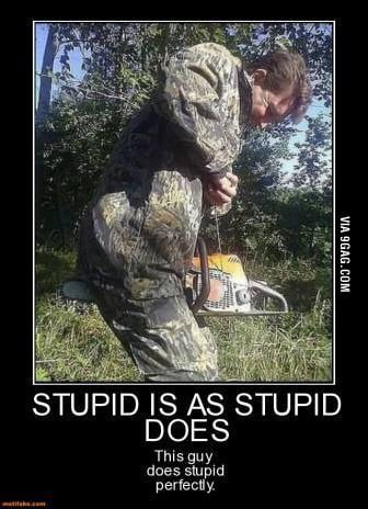 STUPID IS AS STUPID DOES This guy does stupid perfectly.