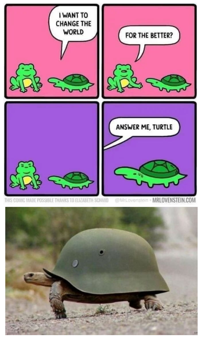I WANT TO CHANGE THE WORLD. FOR THE BETTER? ANSWER ME, TURTLE. THIS COMIC MADE POSSIBLE THANKS TO ELIZABETH SCHMID @MrLovenstein MRLOVENSTEIN.COM
