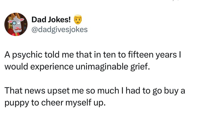 Dad Jokes! A psychic told me that in ten to fifteen years I would experience unimaginable grief. That news upset me so much I had to go buy a puppy to cheer myself up.