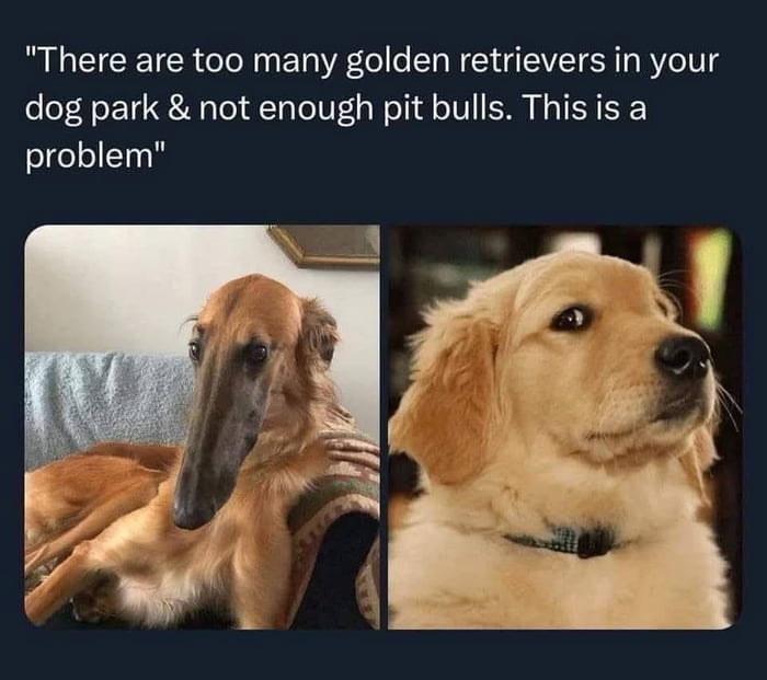 There are too many golden retrievers in your dog park & not enough pit bulls. This is a problem