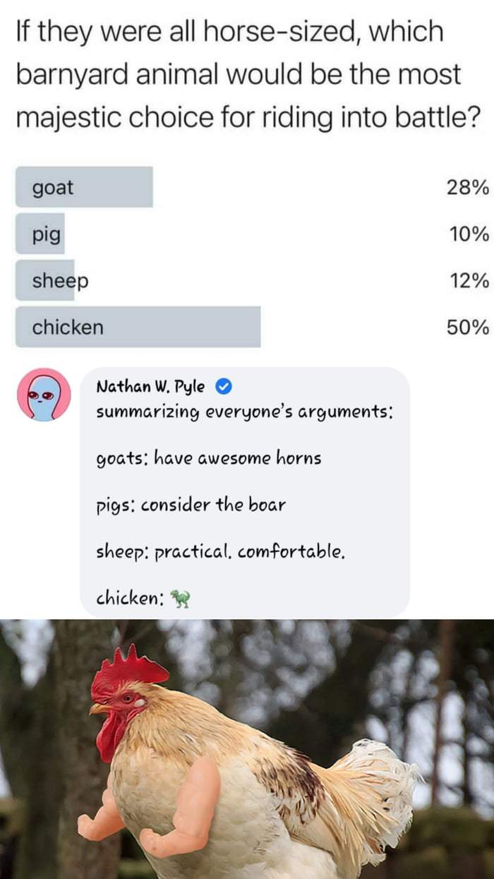 If they were all horse sized which barnyard animal would be the most majestic choice for riding into battle goat 28 pig 10 sheep 12 chicken 50 Nathan W Pyle summarizing everyones arguments goats have awesome horns pigs consider the boar sheep practical comfortable chicken