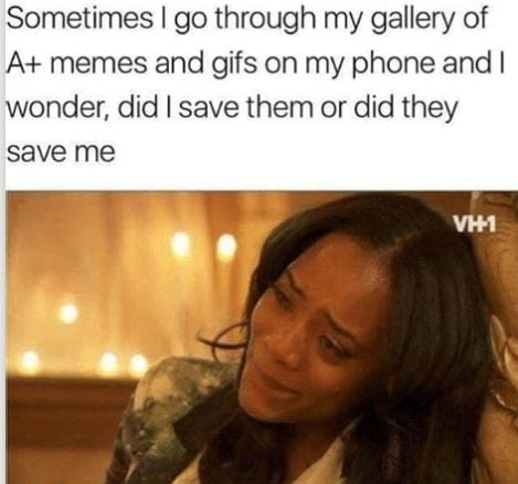 Sometimes go through my gallery of A memes and gifs on my phone and wonder did save them or did they save me