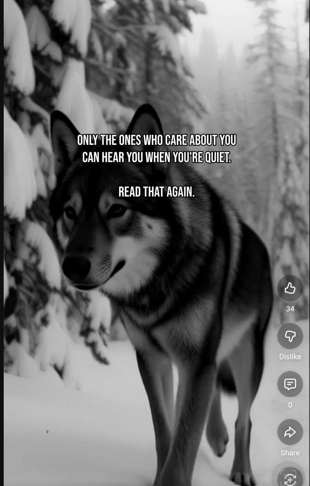 ONLY THE ONES WHO CARE ABOUT YOU CAN HEAR YOU WHEN YOU'RE QUIET.
READ THAT AGAIN.