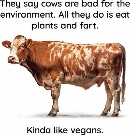 They say cows are bad for the environment All they do is eat plants and fart Kinda like vegans