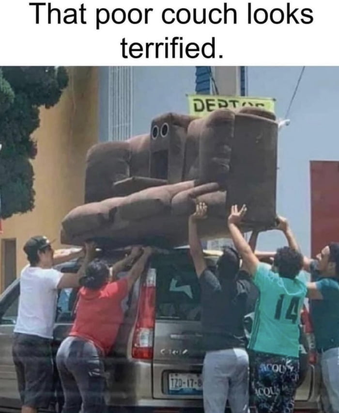 That poor couch looks terrified