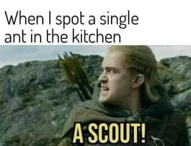 When spot a single ant in the kitchen 4 dof A SCOUT