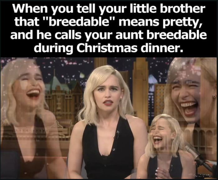 When you tell your little brother that breedable means pretty and he calls your aunt breedable during Christmas dinner