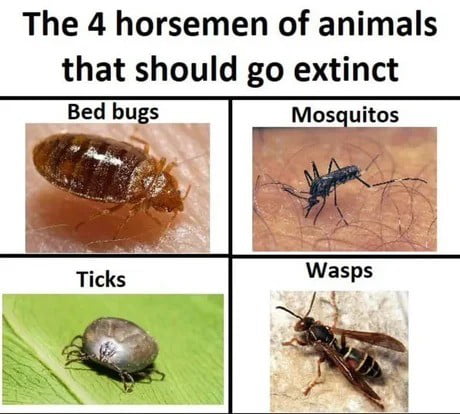 The 4 horsemen of animals that should go extinct Bed bugs Mosquitos