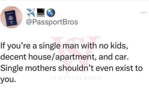 EQ PassportBros If youre a single man with no kids decent houseapartment and car Single mothers shouldnt even exist to you