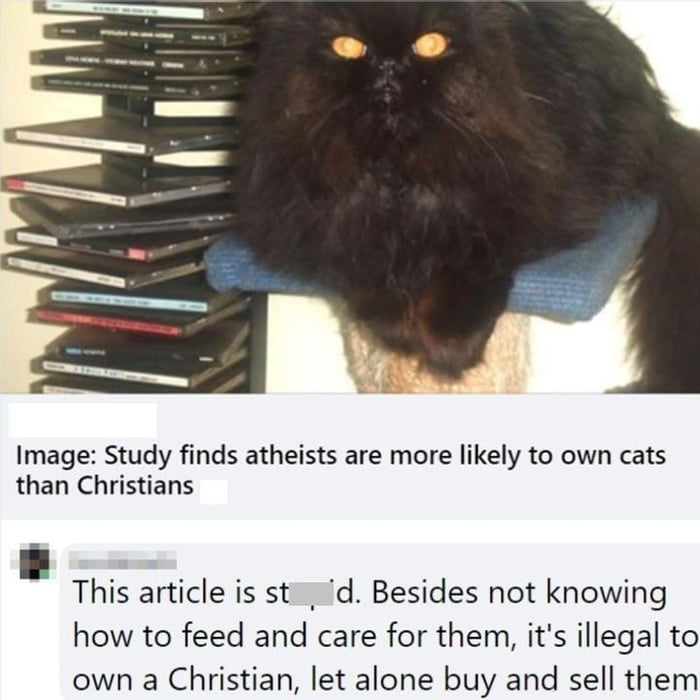 Image Study finds atheists are more likely to own cats than Christians This article is st d Besides not knowing how to feed and care for them its illegal to own a Christian let alone buy and sell them