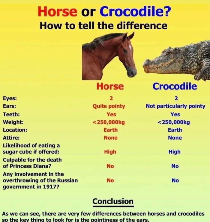 Horse or Crocodile How to tell the difference Horse Crocodile 2 2 Quite pointy Not particularly pointy Yes Yes 250000kg 250000kg Earth Earth None None Likelihood of eating a sugar cube if offered High High Culpable for the death of Princess Diana No No Any involvement in the overthrowing of the Russian o No government in 19177 Conclusion As we can see there are very few differences between horses 