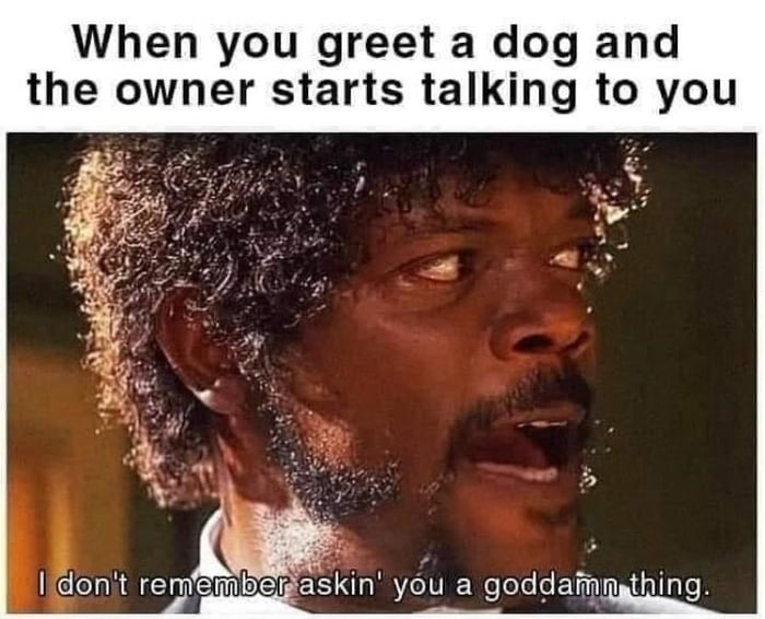 When you greet a dog and the owner starts talking to you Idonit rememlger askin you a goddamaathing oL 8 9