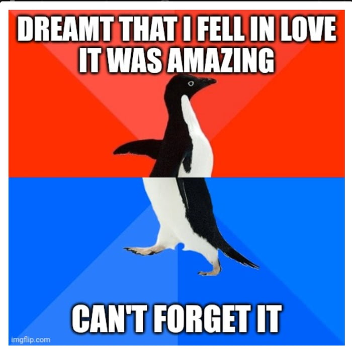 DREAMTTHAT FELL INLOVE ITWAS AMAZING CANT FORGETIT