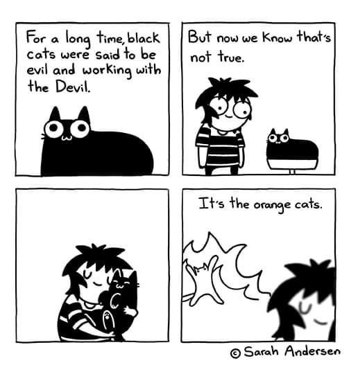 For a long time black But now we Koow thats cots wer said fo be evil and working with the Devil not trve Ths the omnge cats M Sarah Andersen