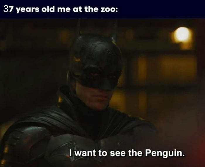 37 years old me at the zoo want to see the Penguin