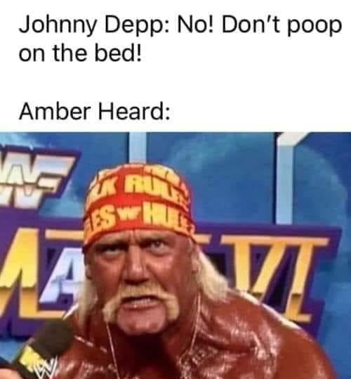 Johnny Depp No Dont poop on the bed Amber Heard