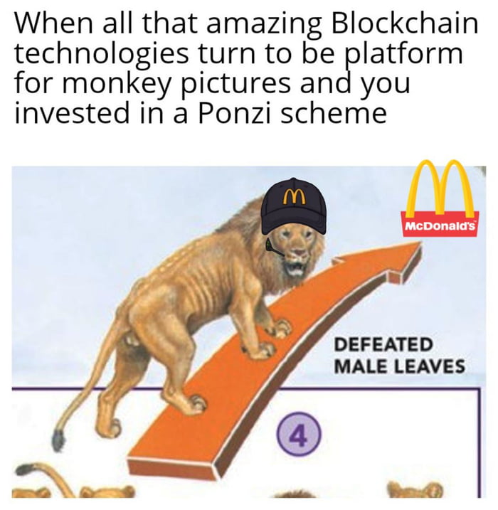 When all that amazing Blockchain technologies turn to be platform for monkey pictures and you invested in a Ponzi scheme ELLEEIT DEFEATED MALE LEAVES