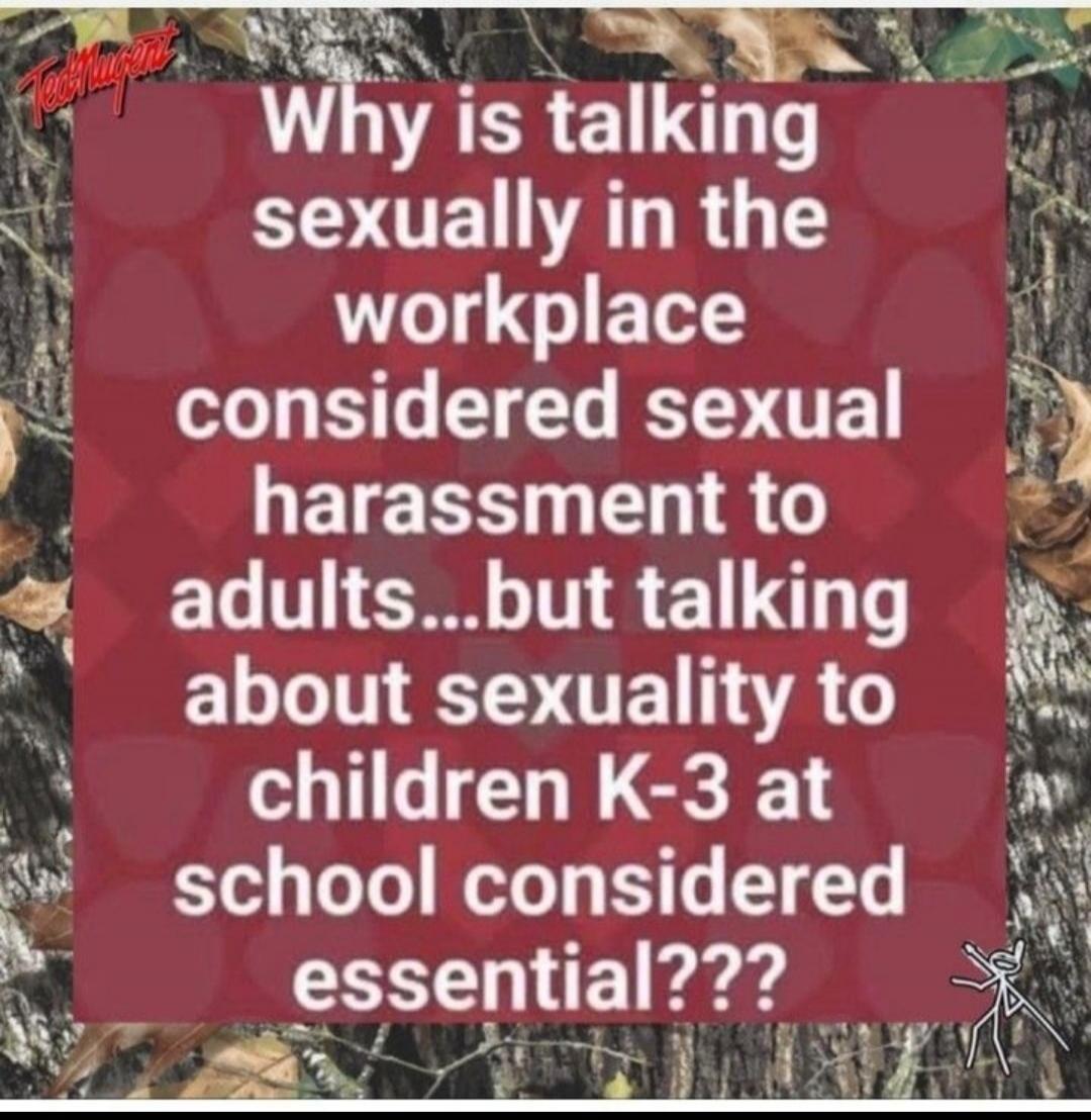 Why is talking sexually in the workplace considered sexual harassment to adults...but talking about sexuality to children K-3 at school considered essential???