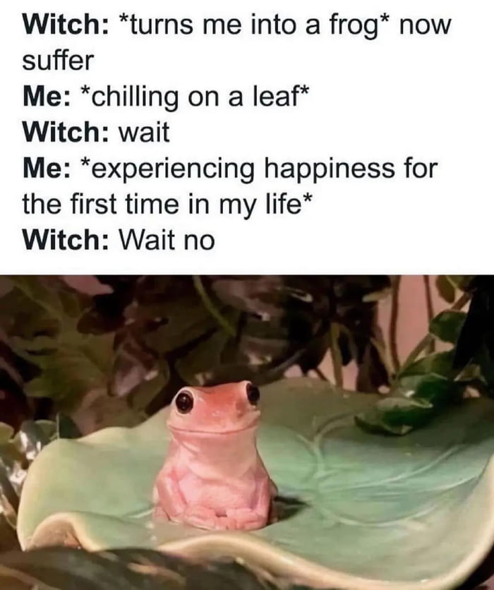 Witch: *turns me into a frog* now suffer
Me: *chilling on a leaf*
Witch: wait
Me: *experiencing happiness for the first time in my life*
Witch: Wait no